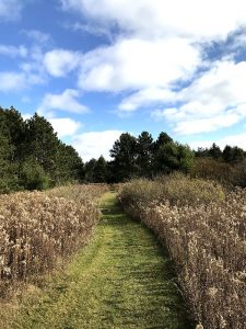 Johnson Preserve