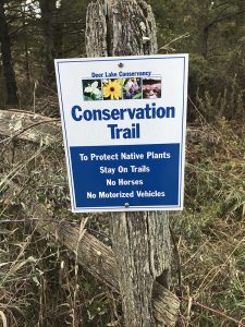 Johnson Preserve 3 1000