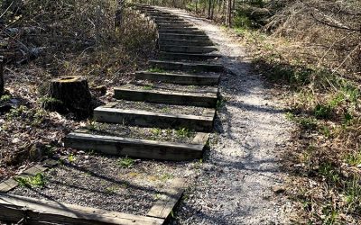 Brownstone Trail Updates: Summer 2021