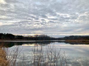 Pond at Colfax Red Cedar Preserve