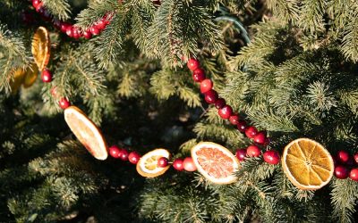 Bird Friendly Outdoor Decorations