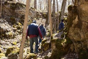 Group Walking in Pine Coulee
