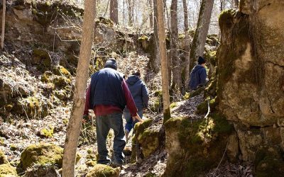 Community Support for Pine Coulee this Spring!