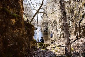Pine Coulee Water in Spring