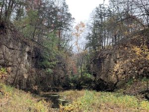 Pine Coulee in Fall 2023