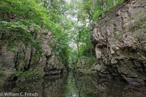 Pine Coulee looking in William C. Fritsch