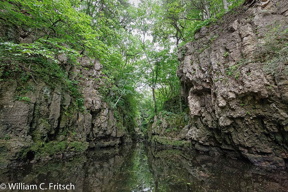 Pine Coulee looking in William C. Fritsch