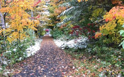 Brownstone Trail Hiker Highlight: John Ipsen and Kris Wegerson