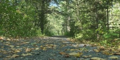 Brownstone Hiker Highlight: Sue Aiken