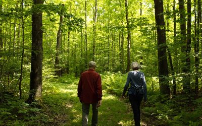 Protecting the Marengo River: A Story of Lasting Stewardship
