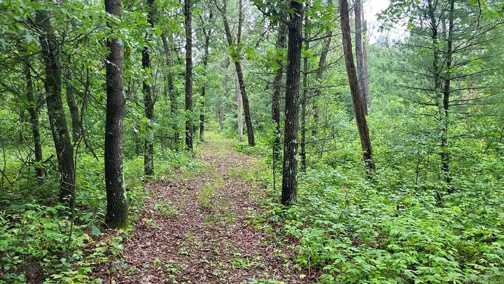 Trail along property boundary Trail along property boundary