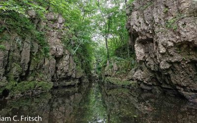 Pine Coulee Nature Preserve Protected Forever