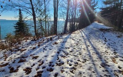 The Brownstone Trail: A Work-in-Progress