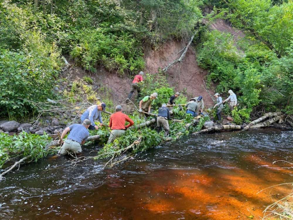 A group of people working along the bank of a river. Anchoring a tree so it extends into the river.