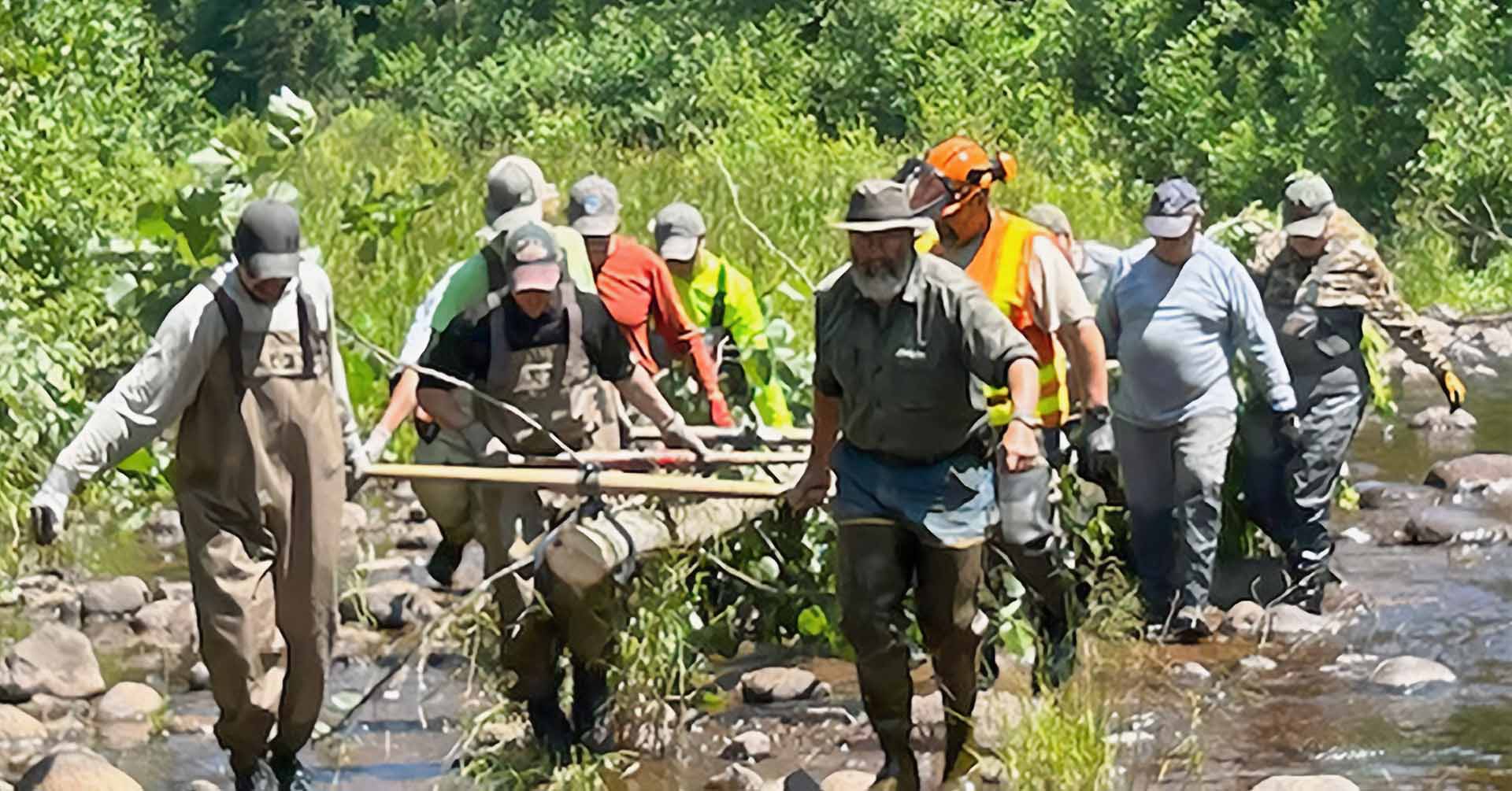 Two columns of workers carrying a log suspended between them. Log-tong train moving trees.