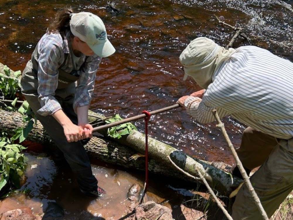 Two people securing a log to the ground along the bank of a river. Setting anchors.