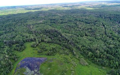 Iron River Community Forest is a ‘Win’ for Water Quality and Wildlife