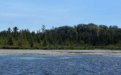 Conservation & Artistic Inspiration Sets the Scene for Family Camp Along Long Lake
