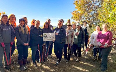 Employees Give Back to Nature During Service Workdays