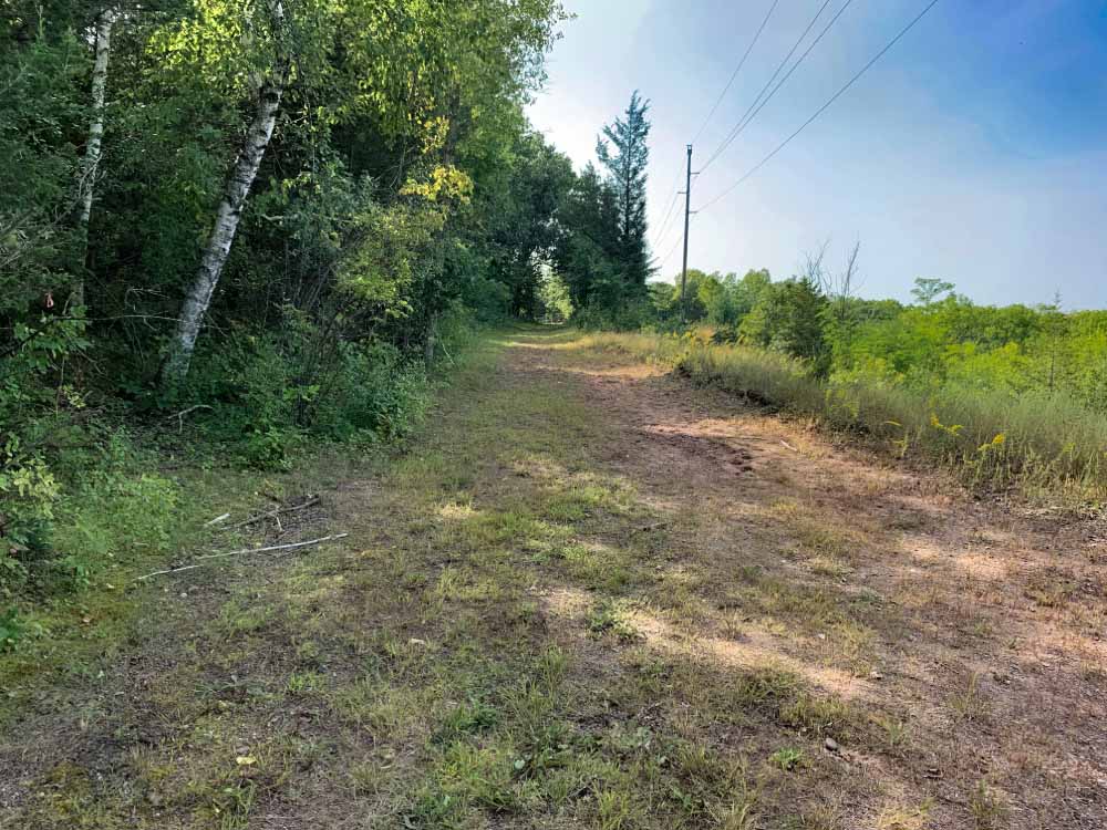 Gravel trail with power lines on the right and forest on the left.