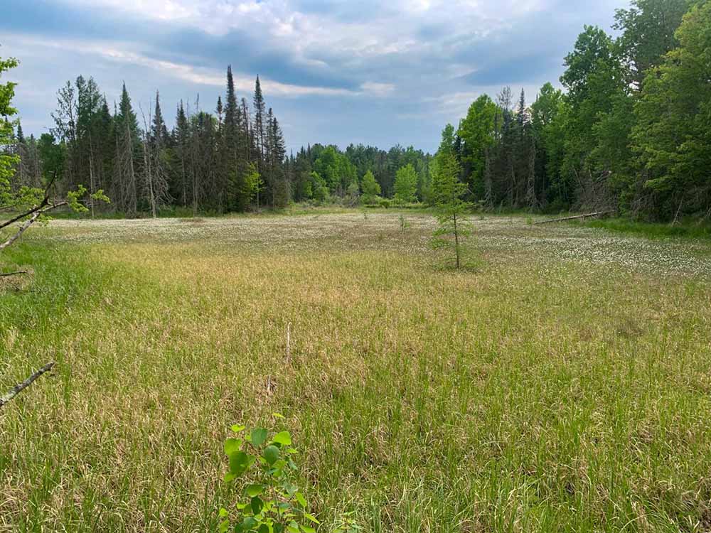 The property includes approximately 135 acres of wetland The property includes approximately 135 acres of wetland.