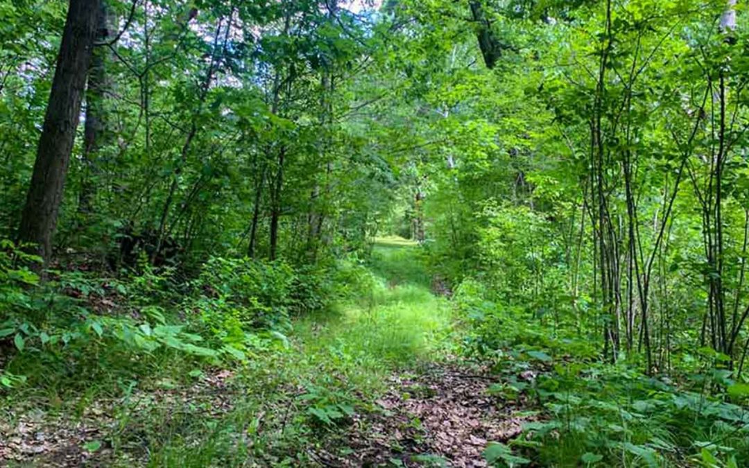 Yellow River Forest Protection Keeps Habitat Intact, Preserves Water Quality