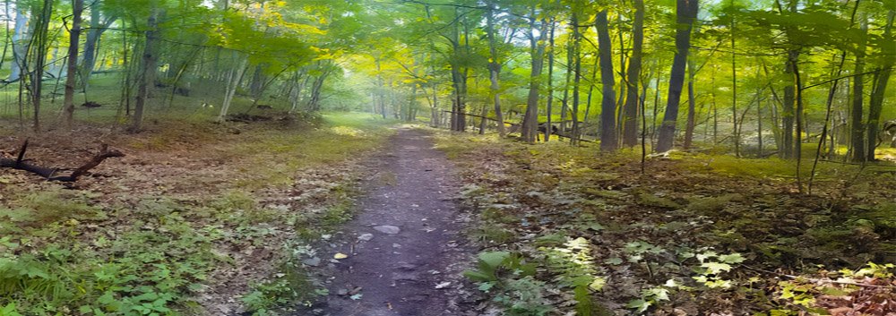 © Tom Andersen - Great hiking trails and in most cases very open woods make for great birding Great hiking trails and in most cases very open woods make for great birding.