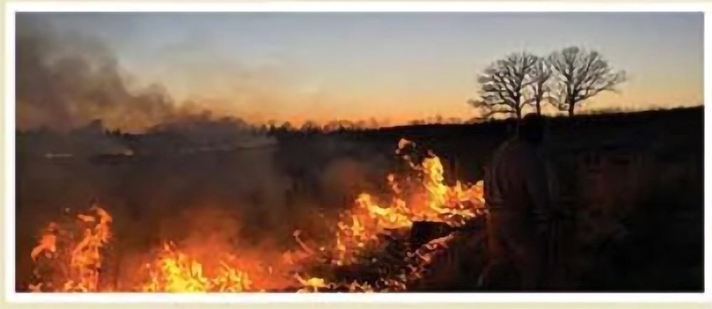 Controlled burn on prairie land at sunset.