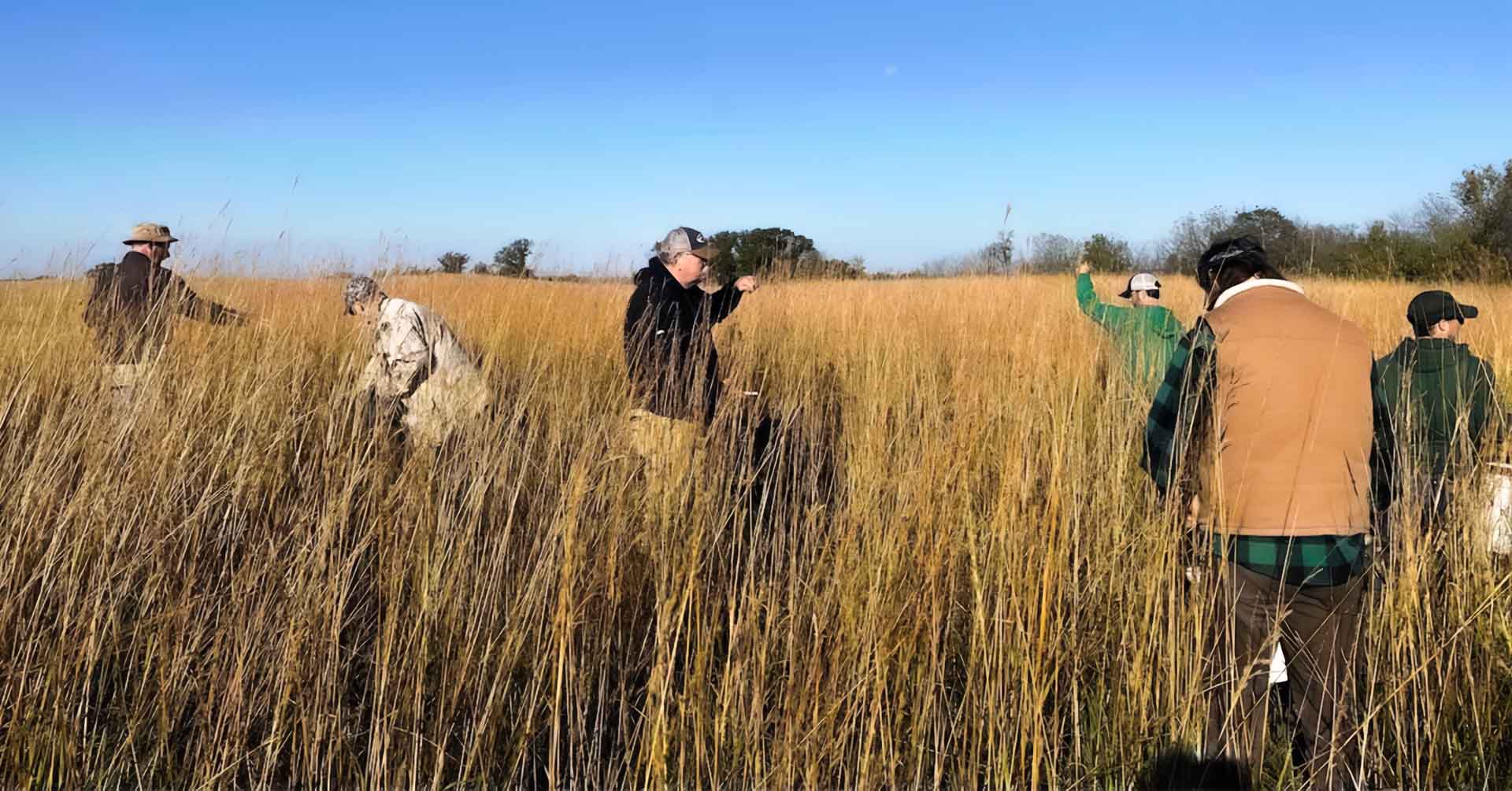 A group of volunteers working in a golden prairie below a bright blue sky.
