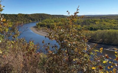 Landmark Conservancy 2025-26 Impact Report